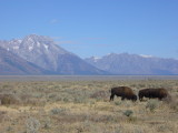 img0171.jpg