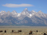 img0172.jpg