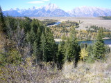 img0175.jpg