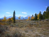 img0179.jpg