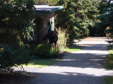 img0180.jpg