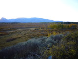 img0185.jpg