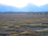 img0186.jpg