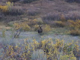 img0191.jpg