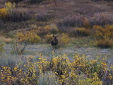 img0192.jpg