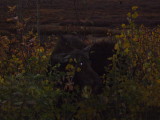 img0193.jpg