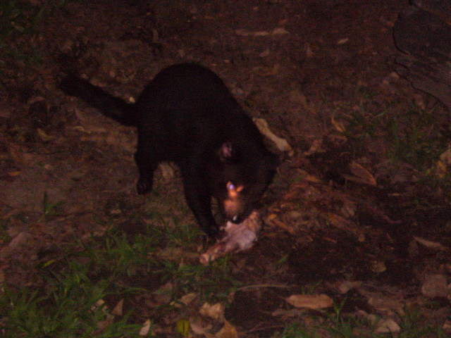 img0045.jpg