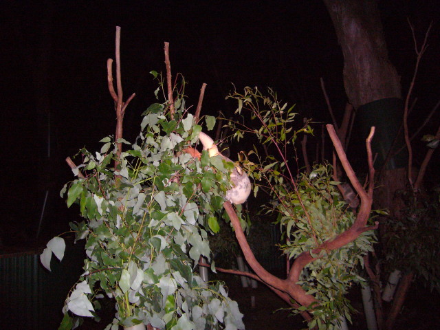 img0053.jpg