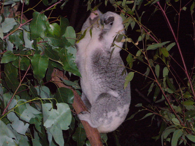 img0058.jpg