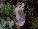 img0058.jpg
