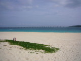 img0016.jpg