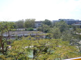 img0111.jpg