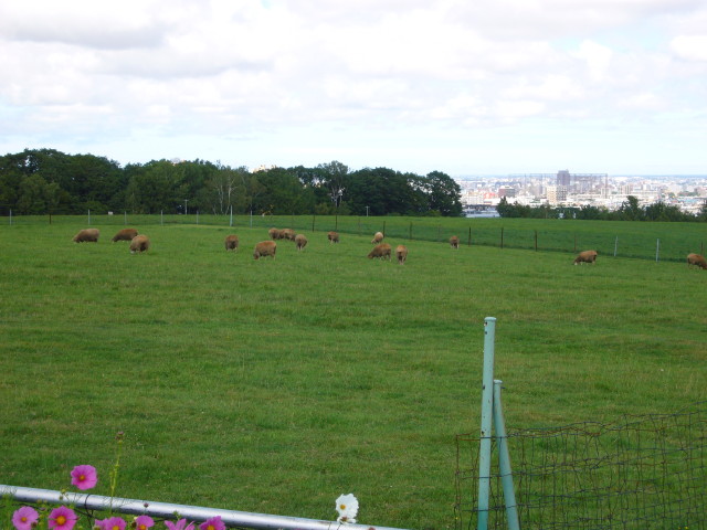 img0070.jpg