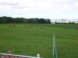 img0070.jpg